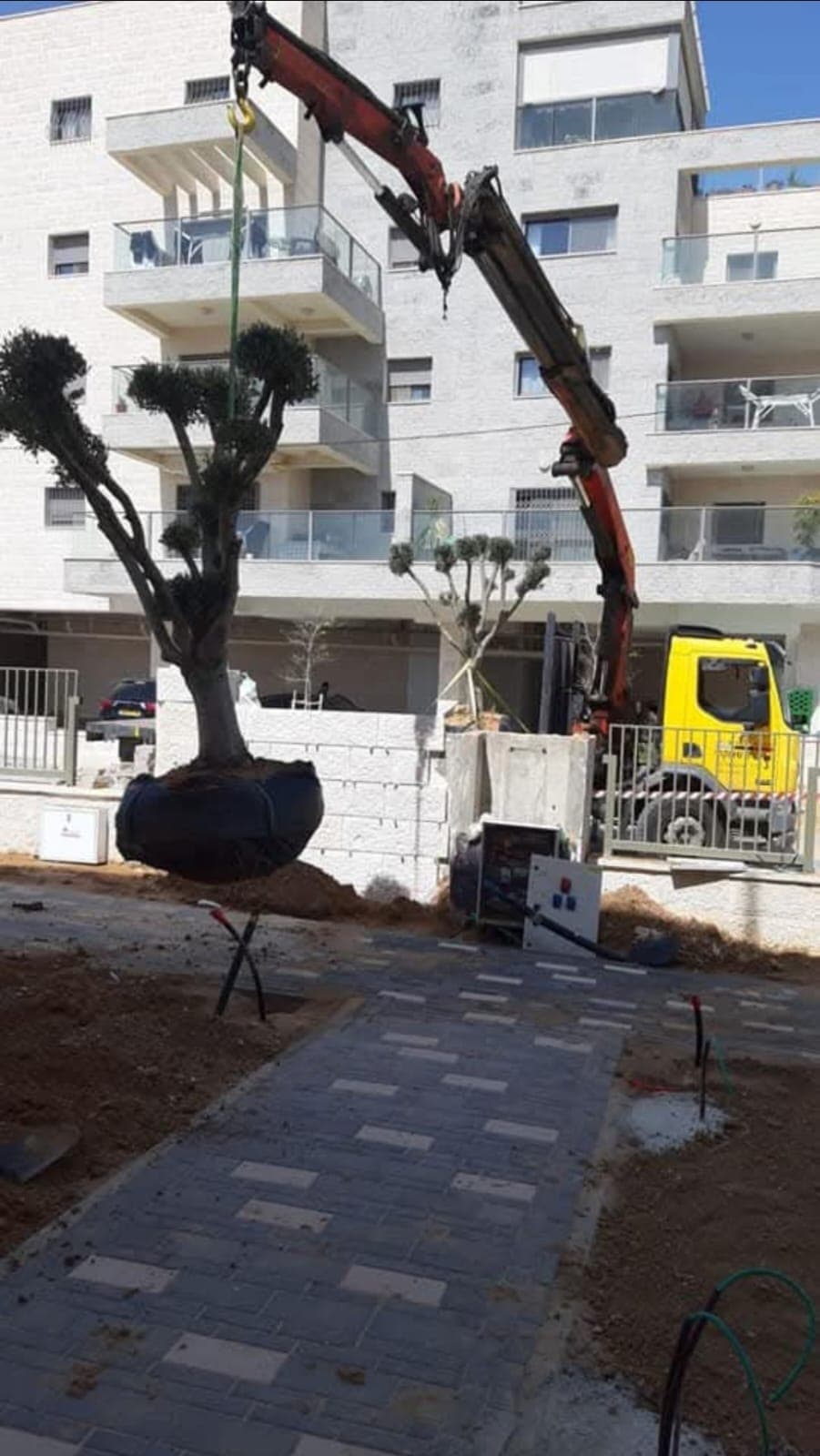 תמונה ממוזערת 38