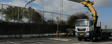 גיזום עצים בגובה